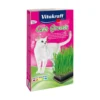 Vitakraft Kattgräs