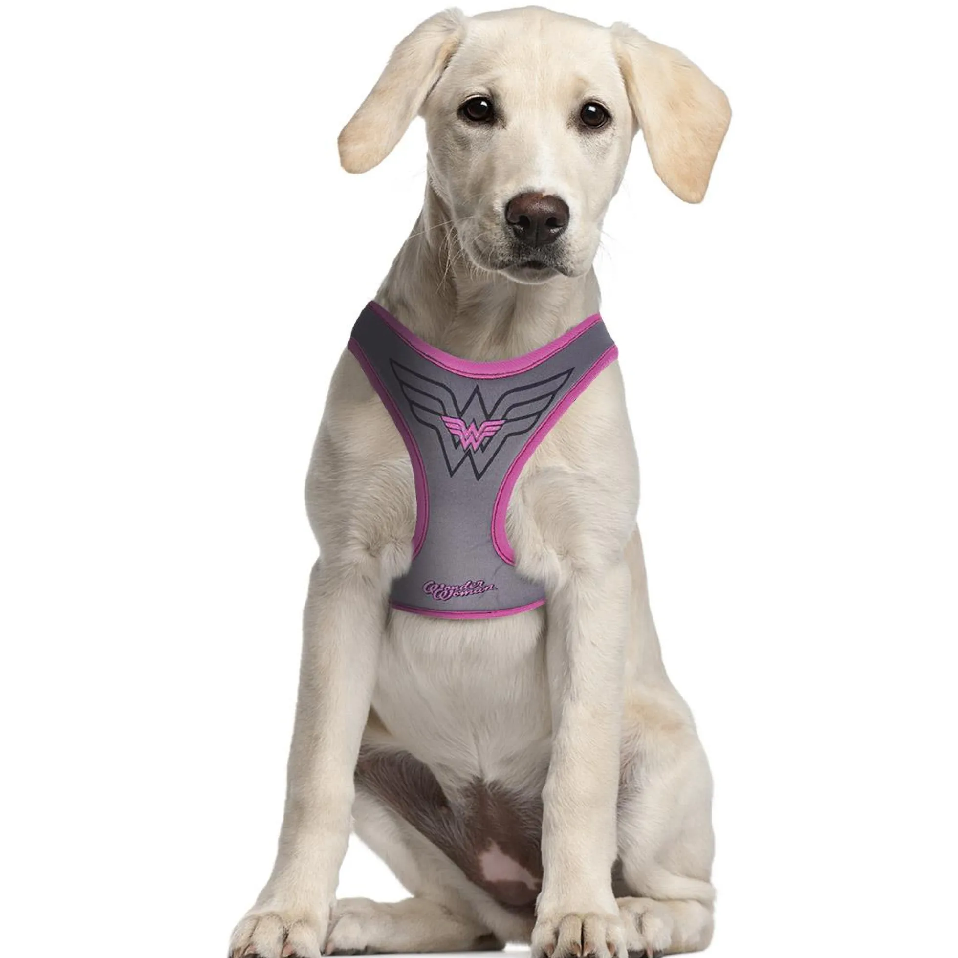 Wonder Woman Harness