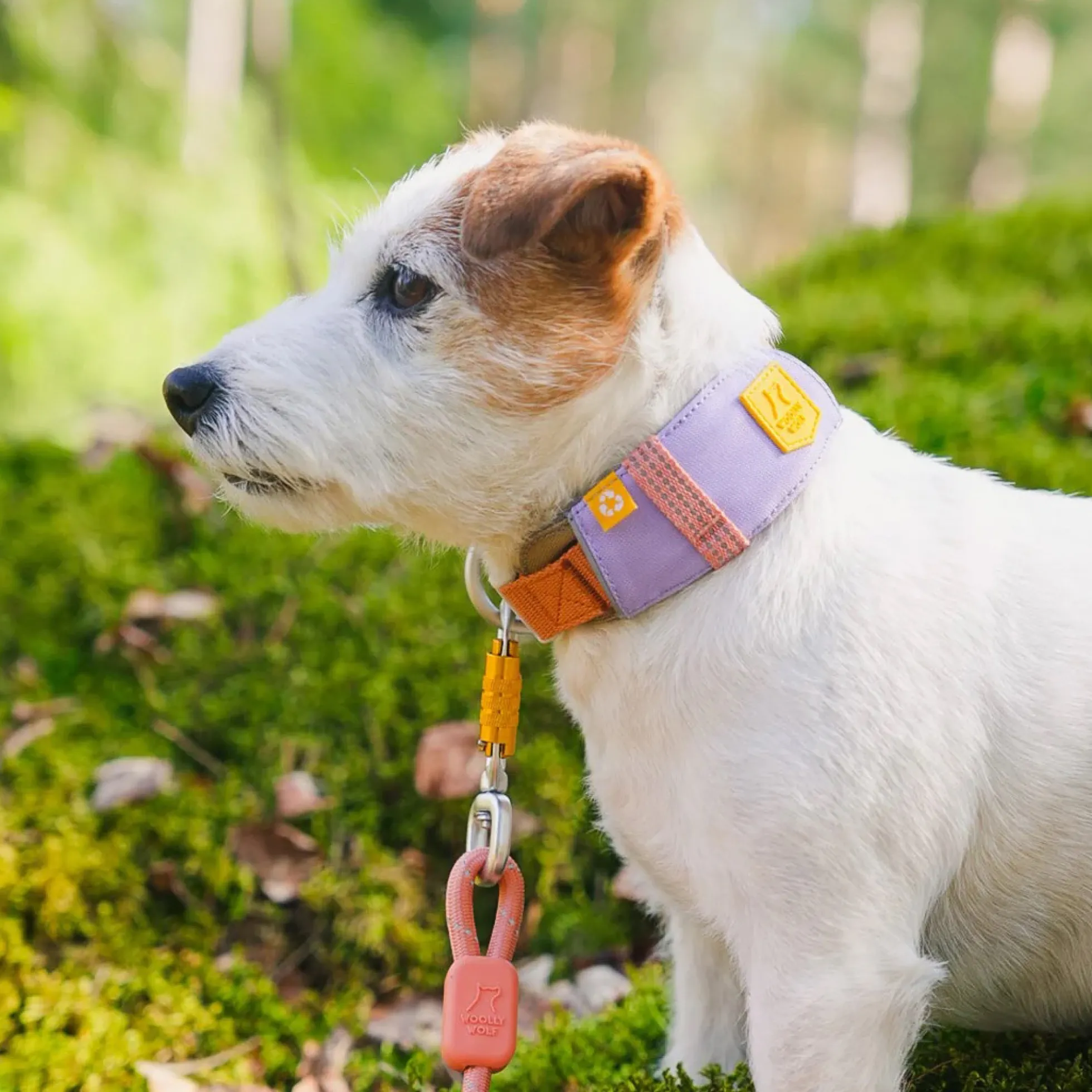 Woolly Wolf Alpha 360 Hundhalsband