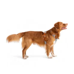 Woolly Wolf Alpha 360 Hundsele