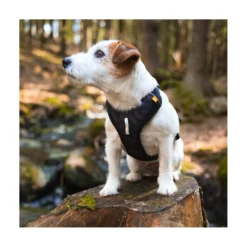 Woolly Wolf Roam Sele